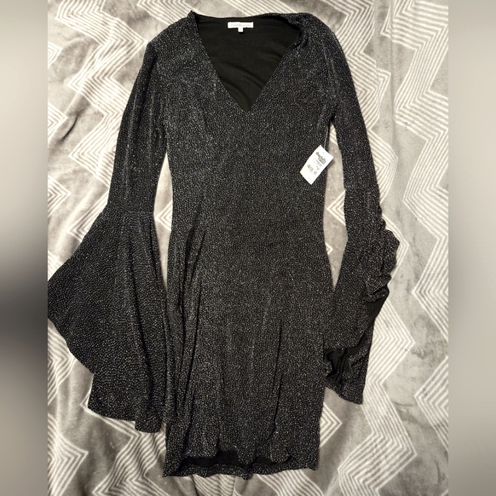 Sparkly Bell Sleve Dress